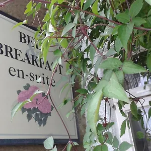 Thorpe-Green-House-Vegetarian-Bed-Breakfast-Robin-Hoods-Bay-Other