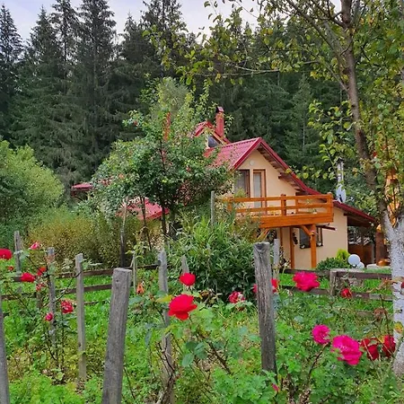 Forest-Vibes-Spa-Cimpu-lui-Neag-Exterior