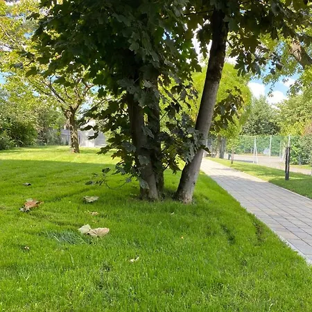 Villanova-4-Rooms-Villanova-Di-Castenaso-Nature