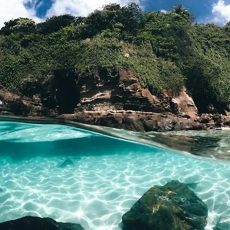 Saboga-Lodge-Adults-Only-Panama-City-Nature