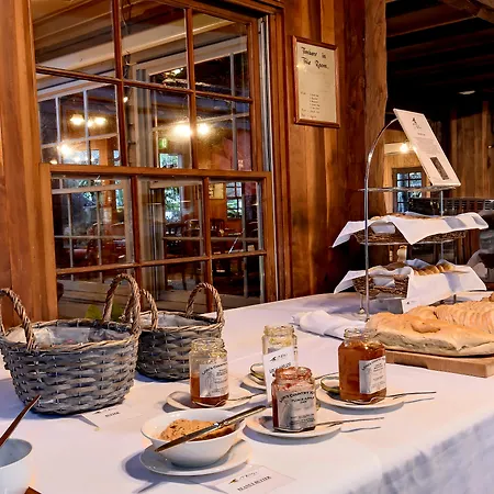 OReillyS-Rainforest-Retreat-Canungra-Interior