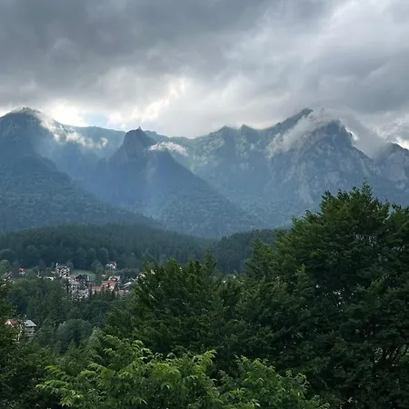 Ferien-Chalet-Busteni-Nature