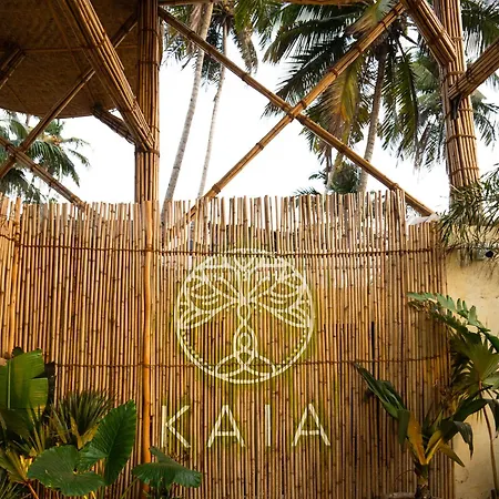 Kaia-Oceanfront-Goa-Hotel-Mandrem-Exterior