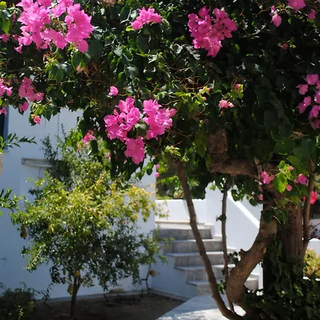 Apollonia-Hotel-Masouri-Exterior