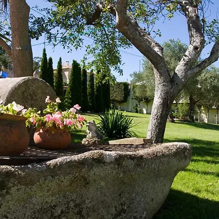 Hotel-Mabel-Ardia-Amenities