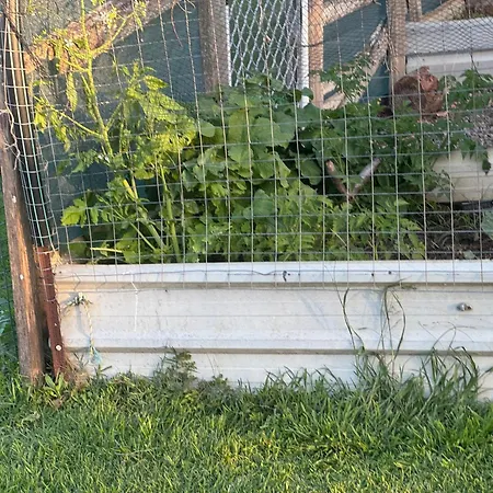 Bird-Song-Farm-Hotel-Hat-Head-Exterior