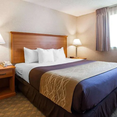 Quality-Inn-Kirkland-Room