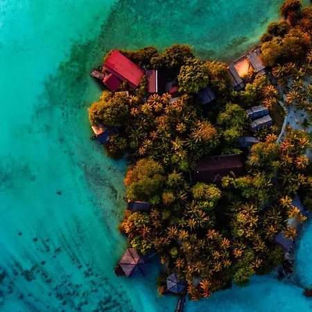 Nabucco-Island-Resort-Maratua-Island-Nature