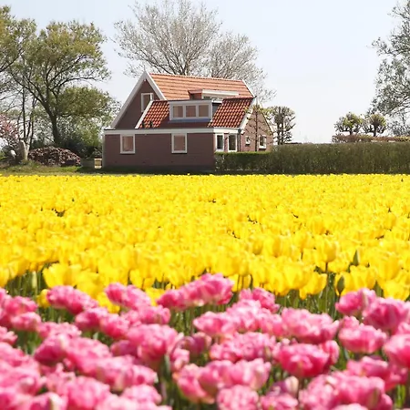 Bungalow-Callantsoog-t-Zand-Exterior