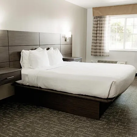 Quality-Inn-Suites-Lathrop-Beds