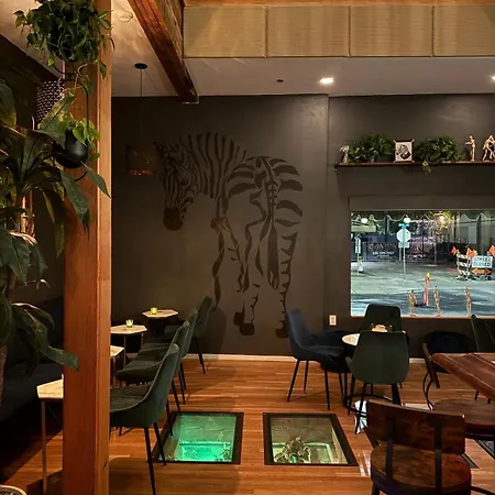 Unicorn-Zebra-Hotel-Tucson-Amenities