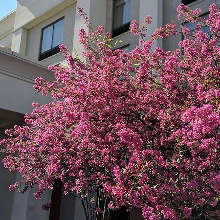 Hampton-Inn-Suites-Cincinnati-Union-Centre-West-Chester-Exterior