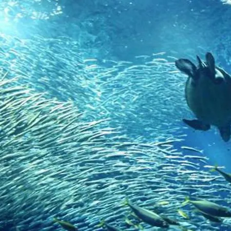 Mito-Keisei-Hotel-Nature