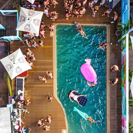 Port-Douglas-Backpackers-Macro-Details