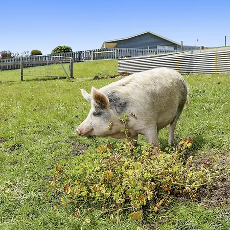 Anchors-Port-Campbell-Villa-Exterior