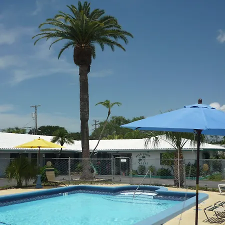Palm-Court-Motel-Dunedin-Swimming-Pool
