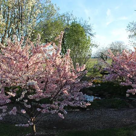 Ivy-On-Glenelg-Bed-Breakfast-Campbell-Town-Exterior