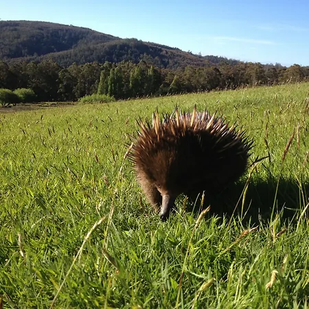 Silver-Ridge-Retreat-Sheffield-Amenities