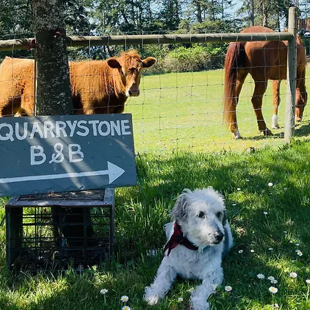 Quarrystone-House-B-B-Fernwood-Other