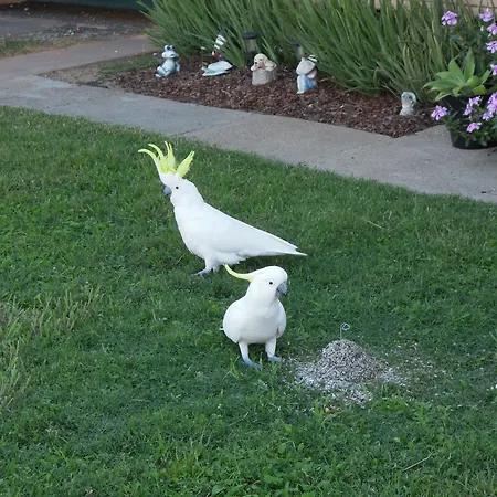 Jackaroo-Apartments-Moree-Exterior