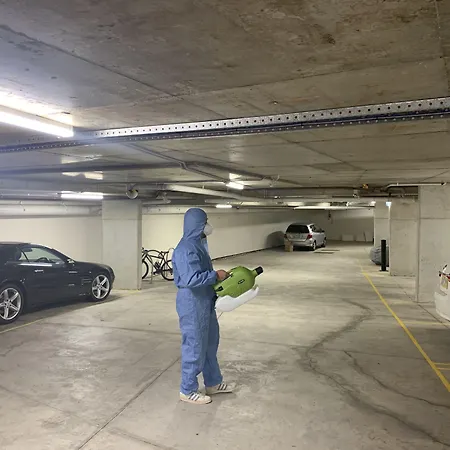 Seranin-Gordon-Pymble-Exterior