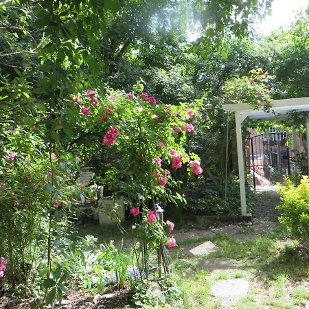 Hotel-Regina-Besancon-Exterior