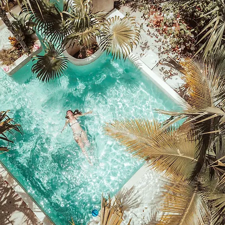 Hotel-Buenavista-Bacalar-Jungle-Experience-Beach